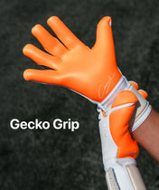 Beast 3.0 x Sergej.gk